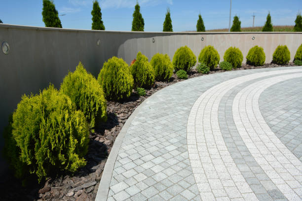 Best Driveway Paving Contractor  in Sonora, CA